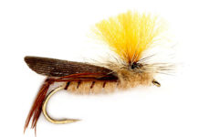 Tom’s Secret Tips for Fishing Terrestrial Flies
