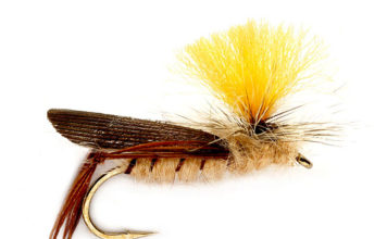 Tom’s Secret Tips for Fishing Terrestrial Flies