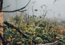 The Outdoor Narrative: Finding new places part of hunting, fishing fun