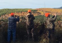 Now’s the time for Moosehead region to chart its new course