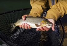 Video: Advanced Stillwater Fly Fishing, with Tom Rosenbauer