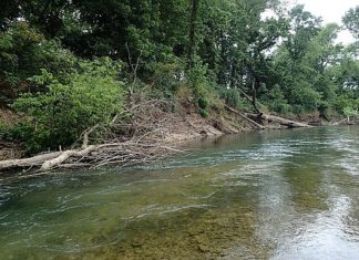 Anglers take their lumps on Big, Little Sugar