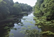 Lake Greeson area offers scenic views, trout fishing