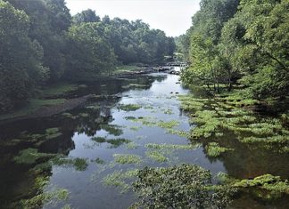 Lake Greeson area offers scenic views, trout fishing