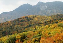 Take a drive through the Blue Ridge Mountains and other spots