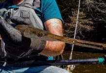 Kayak fishing for longnose gar is unique challenge | Recreation