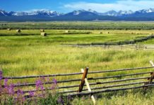 Good Fishing! | Local News