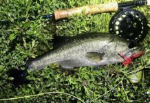 Kelly Bostian: Challenge to get the nighttime surface fly-fishing bite is worth getting bugged | Tulsa Sports