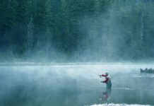 Online download of Fly Fishing Film Fest to benefit local club | Local News