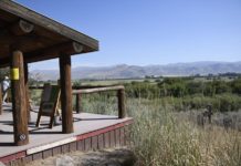 Silver Creek Preserve experiences record low flows, fish stress | Environment