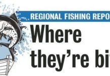 Regional Fishing Report | Sports