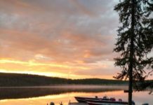 Local owner of Canadian fish camp loses season to virus | Forest Lake Times