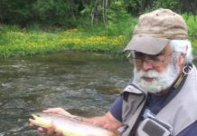 OUTDOOR COLUMN: How to take good fish photographs – News – Times Telegram