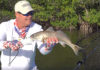 Ultimate Catch Host, Space Coast Daily Capt. Eric Ciocher Reels in Redfish in Banana River Featured on World Fishing Network
