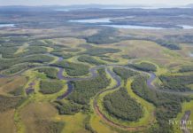 A Full-Page Ad in WSJ Asks the President to #StopPebbleMine