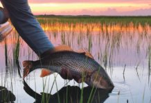 Jacksonville Fishing Report: Fall is coming.