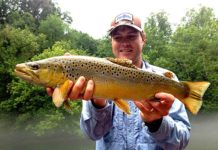 Podcast: Expert Tips on Small-Stream Fly Fishing in California and North Carolina