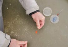 Master Class Monday: How to Fish Woolly Buggers in Rivers, Part 2