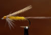 Video: How to Tie the Stonefly Creeper