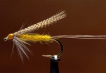 Video: How to Tie the Stonefly Creeper