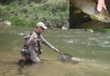 Pro Tips: Five Steps to Landing More Fish