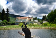 Classic Photo: Feathered Trout Thief