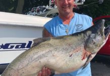 A lot of big Chinook, the closing of Navy Pier and low water on rivers around Chicago are among the items with the sprawling raw-file Midwest Fishing Report.