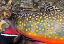 This Year’s “20 Days in September” Contest Starts in THREE weeks!