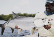 Video: “Connection” from Livit Films