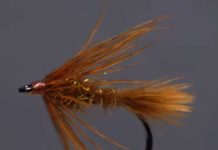 Video: How to Tie the October Caddis Soft Hackle