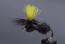 Video: How to Tie a Travis Para Ant