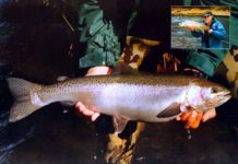 Tongariro River Trout – Fly Bombs on the “Big T”
