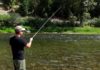 Video Pro Tip: How to Fish a Summertime Riffle