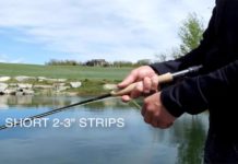 Video Pro Tips: How to Retrieve Streamers, Wet Flies, and Nymphs in Still Water