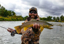 Pro Tips: Making the Most of the “Trico Trance”