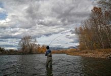 Trout Spey: How to Get Started Swinging for Trout