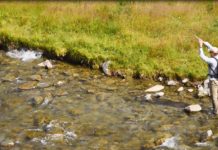 Master Class Mondays: How to Catch Trout in Shallow-Water Undercuts