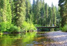 Bonner County Daily Bee