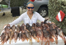 Water activist keeps law on her side – Keys News