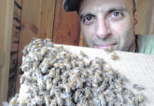 A concern for wildlife | The Sunday Dispatch