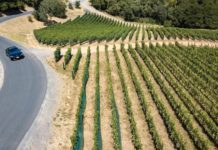 Does It Cost $30,000 To Travel Safely Right Now?