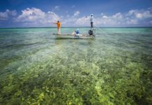 Meet The $70,000 Fish