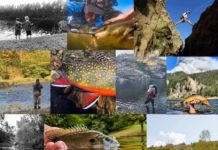 The 2020 “20 Days in September” Contest Kicks Off Today!