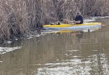 Help wildlife by picking up discarded fishing line, trash | Local News