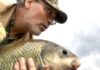 Kelly Bostian: Memorable 15-fish challenge forces a fresh look at Oklahoma fly-fishing | Sports News