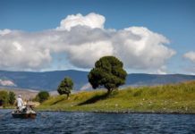 Warriors and Quiet Waters hosts auction to continue helping Montana veterans | Regional