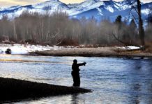 Fishing report: Know your bugs | Local News