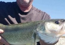 Jody Lee Crabb | Obituaries