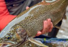 Lake Superior Steelhead: Tips and Gear to Land Your First Chrome