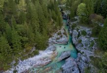 Angling for Trout in Slovenia – Garden & Gun